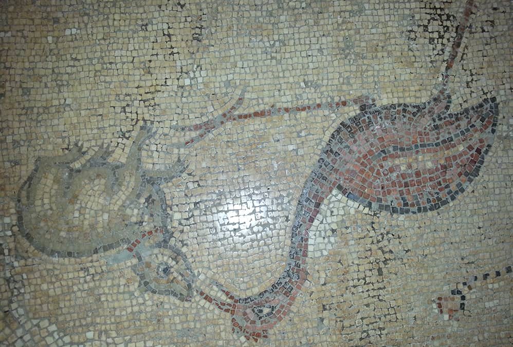 journey of the Holy Land