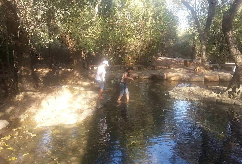 Tel Dan national park, Israel